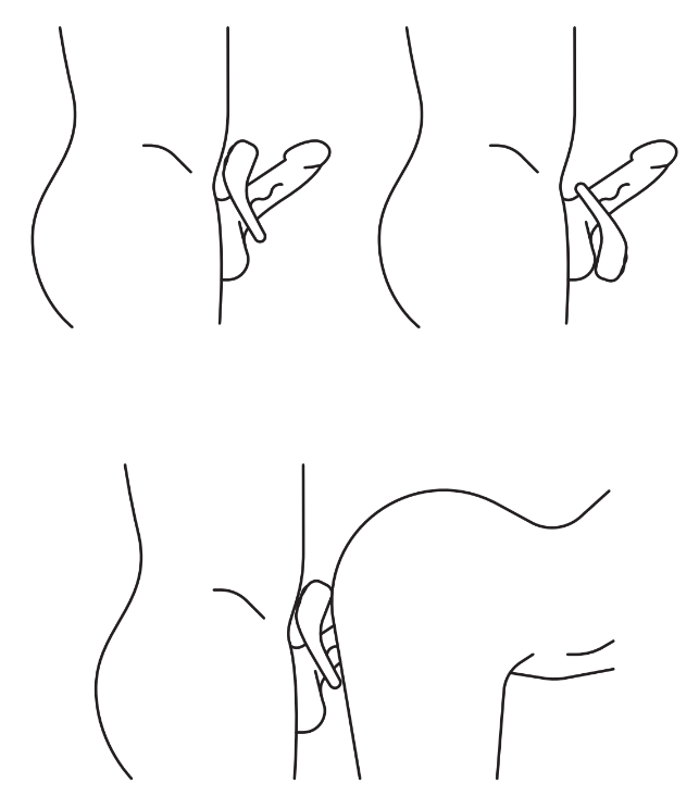 gleitgel auf penis Gleitgel-Alternative: Mit diesen Hausmitteln flutscht es main image 0